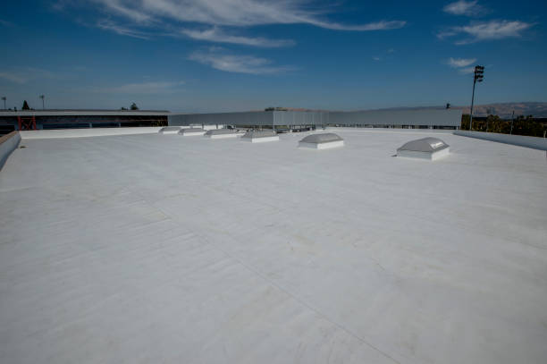 Best Roof Maintenance and Cleaning  in Ludlow, KY