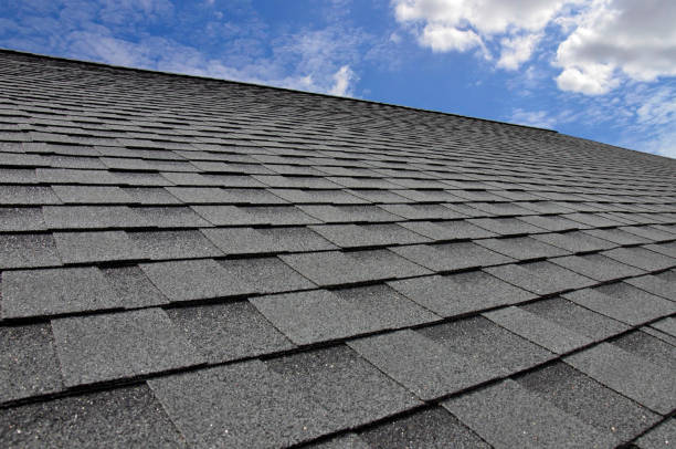 Best Skylight Installation and Repair  in Ludlow, KY
